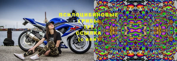2c-b Абдулино