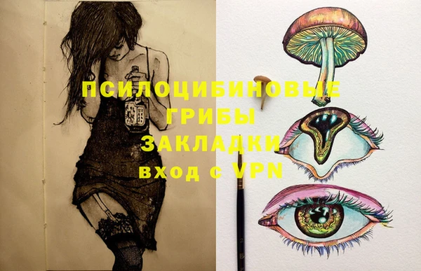 2c-b Абдулино