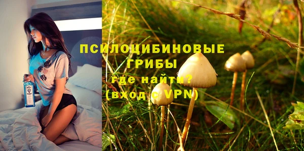 спиды Абаза