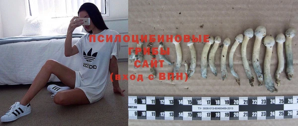 2c-b Абдулино